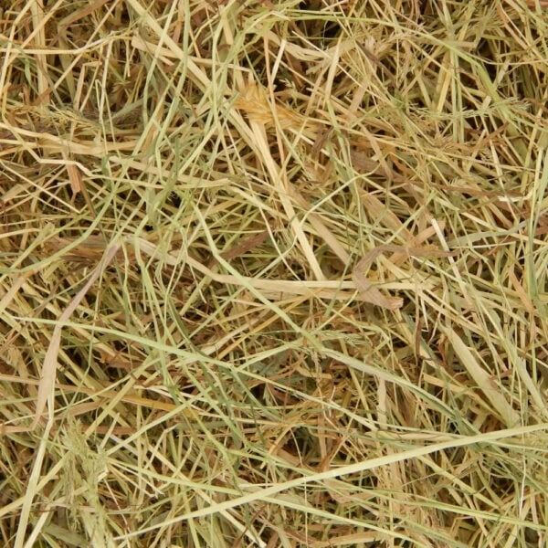 Meadow-Hay-1-600x600-1.jpg 2KG Meadow Hay - Image 1